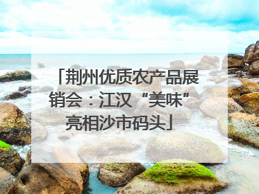 荆州优质农产品展销会：江汉“美味”亮相沙市码头