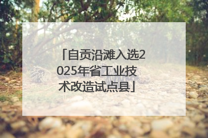 自贡沿滩入选2025年省工业技术改造试点县