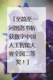 至简至一河图洛书斩获数字中国人工智能大赛全国二等奖！