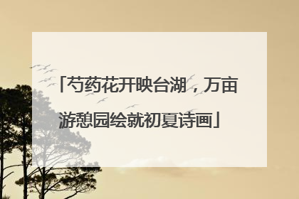 芍药花开映台湖，万亩游憩园绘就初夏诗画