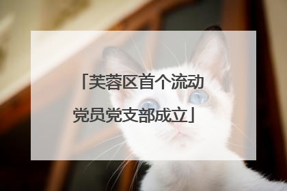 芙蓉区首个流动党员党支部成立