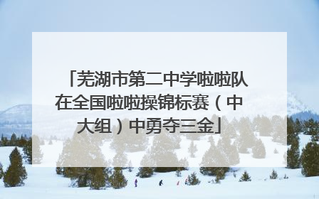 芜湖市第二中学啦啦队在全国啦啦操锦标赛（中大组）中勇夺三金
