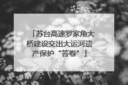 苏台高速罗家角大桥建设交出大运河遗产保护“答卷”