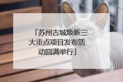 苏州古城焕新三大重点项目发布活动圆满举行