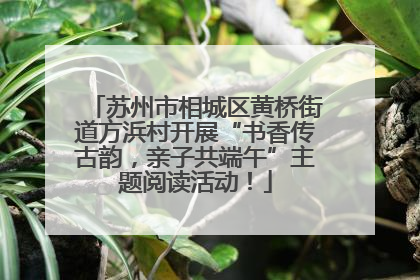 苏州市相城区黄桥街道方浜村开展“书香传古韵，亲子共端午”主题阅读活动！