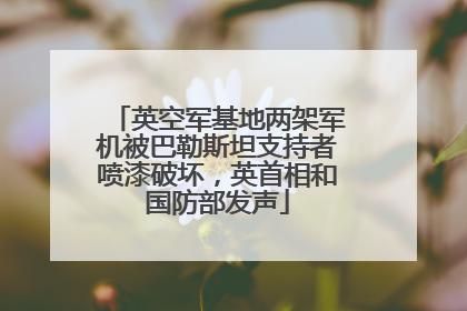 英空军基地两架军机被巴勒斯坦支持者喷漆破坏，英首相和国防部发声