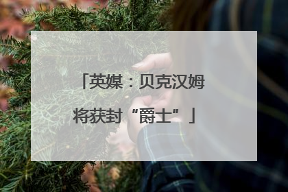 英媒：贝克汉姆将获封“爵士”
