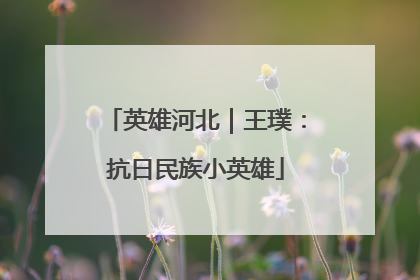 英雄河北｜王璞：抗日民族小英雄