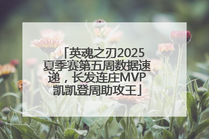 英魂之刃2025夏季赛第五周数据速递，长发连庄MVP凯凯登周助攻王