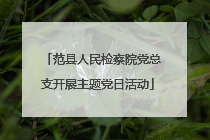 范县人民检察院党总支开展主题党日活动