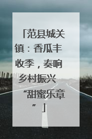 范县城关镇：香瓜丰收季，奏响乡村振兴 “甜蜜乐章”