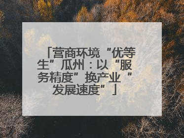 营商环境“优等生”瓜州：以“服务精度”换产业“发展速度”