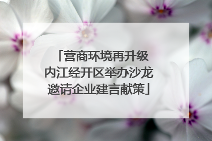 营商环境再升级 内江经开区举办沙龙邀请企业建言献策