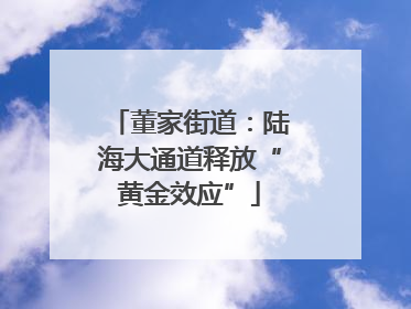 董家街道：陆海大通道释放“黄金效应”