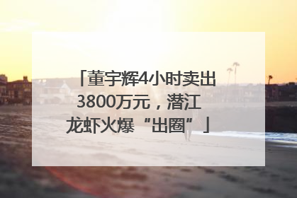 董宇辉4小时卖出3800万元，潜江龙虾火爆“出圈”