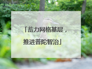 蓄力网格基层，推进普陀智治