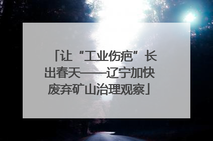 让“工业伤疤”长出春天——辽宁加快废弃矿山治理观察