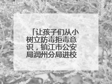 让孩子们从小树立防毒拒毒意识，镇江市公安局润州分局进校展开禁毒宣传