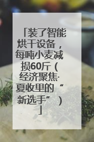 装了智能烘干设备，每吨小麦减损60斤（经济聚焦·夏收里的“新选手”）