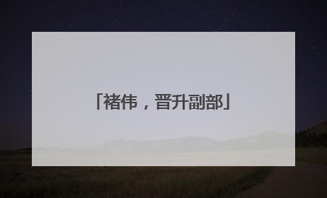 褚伟，晋升副部