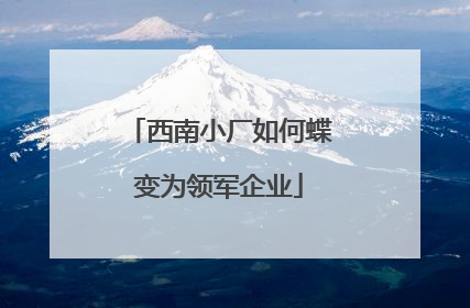 西南小厂如何蝶变为领军企业