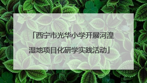 西宁市光华小学开展河湟湿地项目化研学实践活动