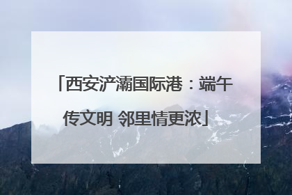西安浐灞国际港：端午传文明 邻里情更浓