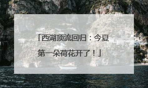 西湖顶流回归：今夏第一朵荷花开了！