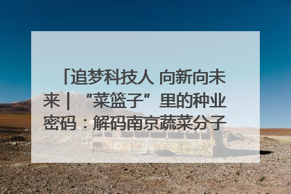 追梦科技人 向新向未来｜“菜篮子”里的种业密码：解码南京蔬菜分子育种的创新之路