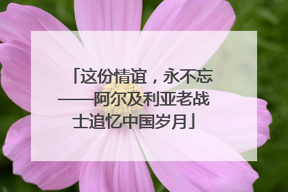 这份情谊，永不忘——阿尔及利亚老战士追忆中国岁月