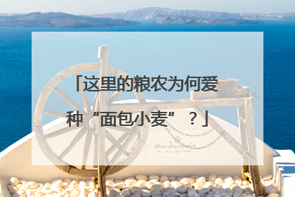 这里的粮农为何爱种“面包小麦”？