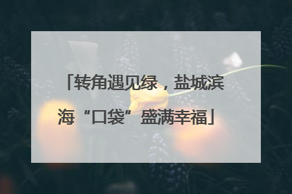 转角遇见绿，盐城滨海“口袋”盛满幸福