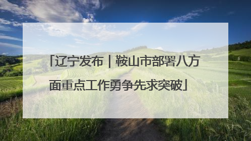 辽宁发布｜鞍山市部署八方面重点工作勇争先求突破