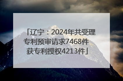 辽宁：2024年共受理专利预审请求7468件 获专利授权4213件