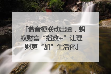 谐音梗联动出圈，蚂蚁财富“指数+”让理财更“加”生活化