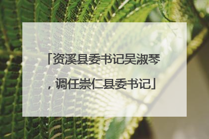 资溪县委书记吴淑琴，调任崇仁县委书记
