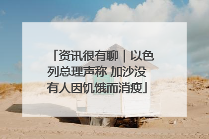 资讯很有聊｜以色列总理声称 加沙没有人因饥饿而消瘦
