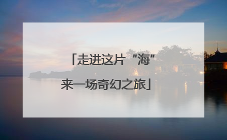走进这片“海”来一场奇幻之旅