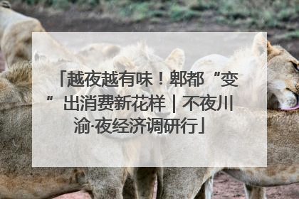 越夜越有味！郫都“变”出消费新花样｜不夜川渝·夜经济调研行