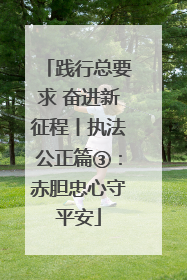 践行总要求 奋进新征程丨执法公正篇③：赤胆忠心守平安