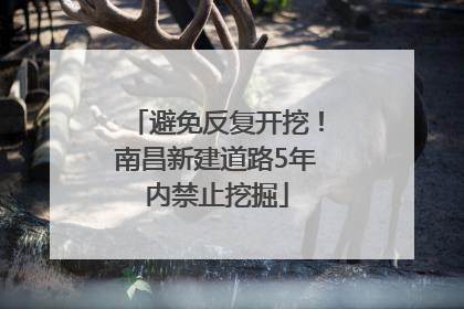 避免反复开挖！南昌新建道路5年内禁止挖掘