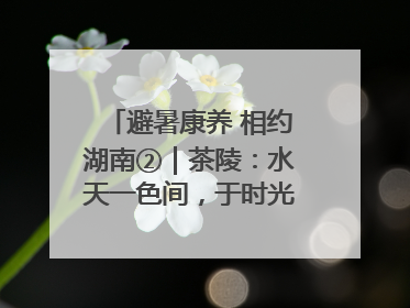 避暑康养 相约湖南②｜茶陵：水天一色间，于时光里拾取诗意