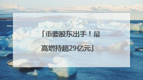 重要股东出手！最高增持超29亿元