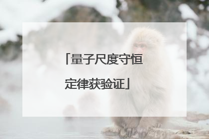量子尺度守恒定律获验证