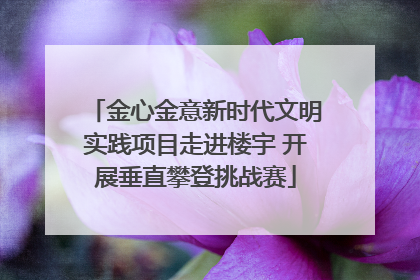 金心金意新时代文明实践项目走进楼宇 开展垂直攀登挑战赛