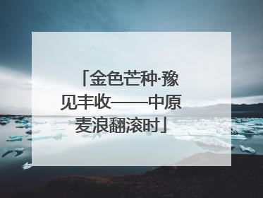 金色芒种·豫见丰收——中原麦浪翻滚时