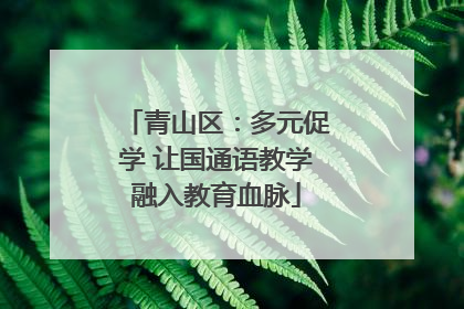 青山区：多元促学 让国通语教学融入教育血脉