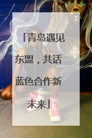 青岛遇见东盟，共话蓝色合作新未来