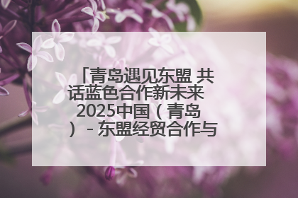 青岛遇见东盟 共话蓝色合作新未来 2025中国（青岛）－东盟经贸合作与人文交流活动举行