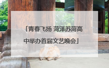 青春飞扬 菏泽苏菏高中举办首届文艺晚会